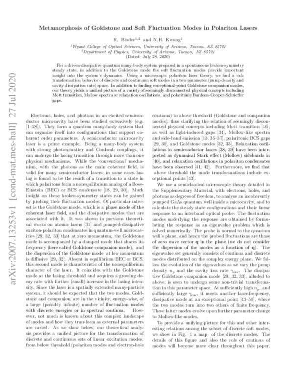 (PDF) Metamorphosis of Goldstone and soft fluctuation modes in ...