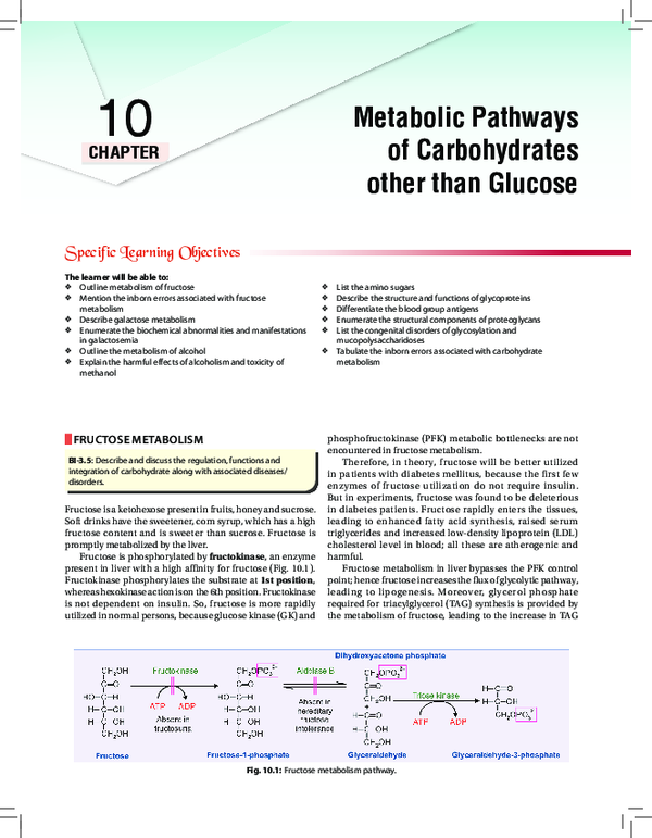 (PDF) Other Metabolic Pathways of Glucose