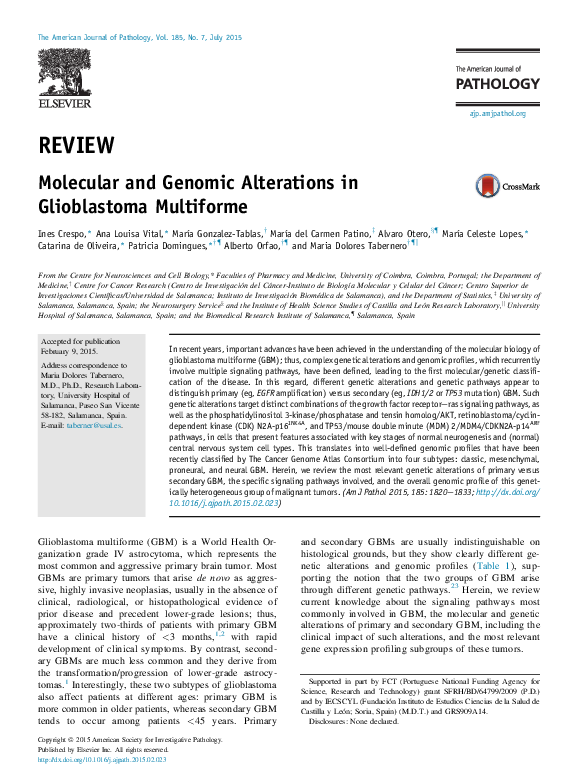 (PDF) Molecular and Genomic Alterations in Glioblastoma Multiforme