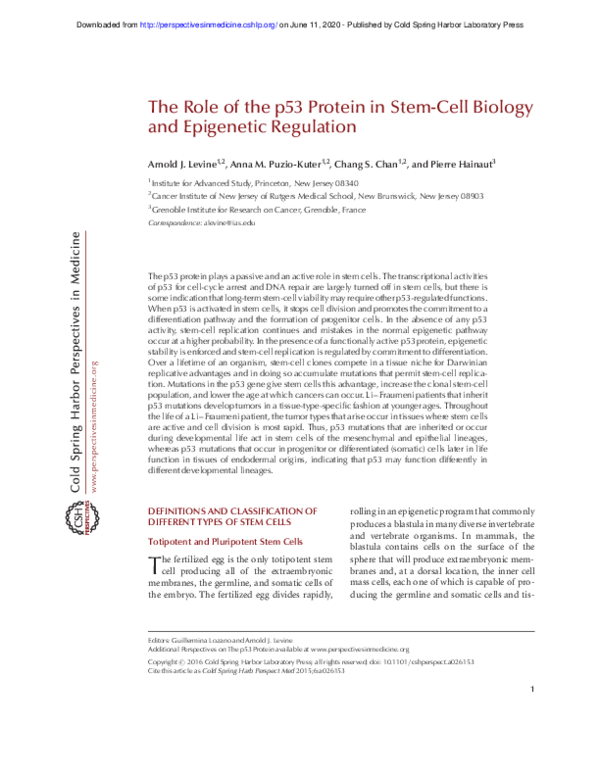 (PDF) The Role of the p53 Protein in Stem-Cell Biology and Epigenetic ...