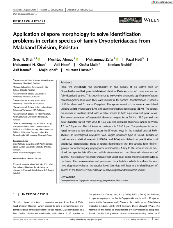 (PDF) Application of spore morphology to solve identification problems ...