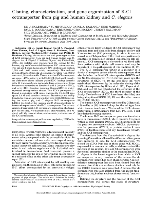 (PDF) Cloning, characterization, and gene organization of K-Cl ...