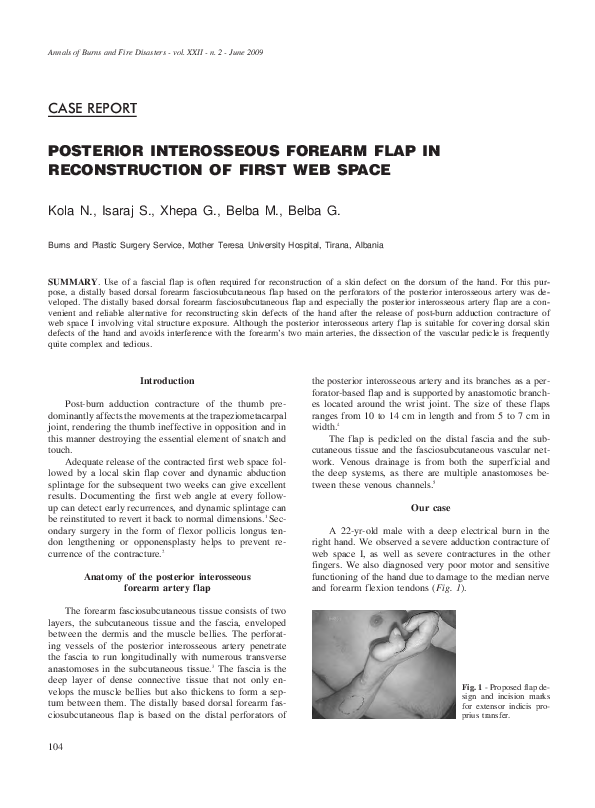 (PDF) Posterior interosseous forearm flap in reconstruction of first ...