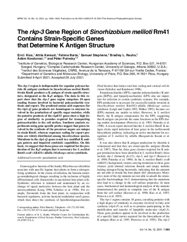 (PDF) The rkp-3 Gene Region of Sinorhizobium meliloti Rm41 Contains ...