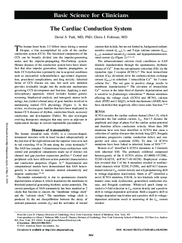 (PDF) The Cardiac Conduction System