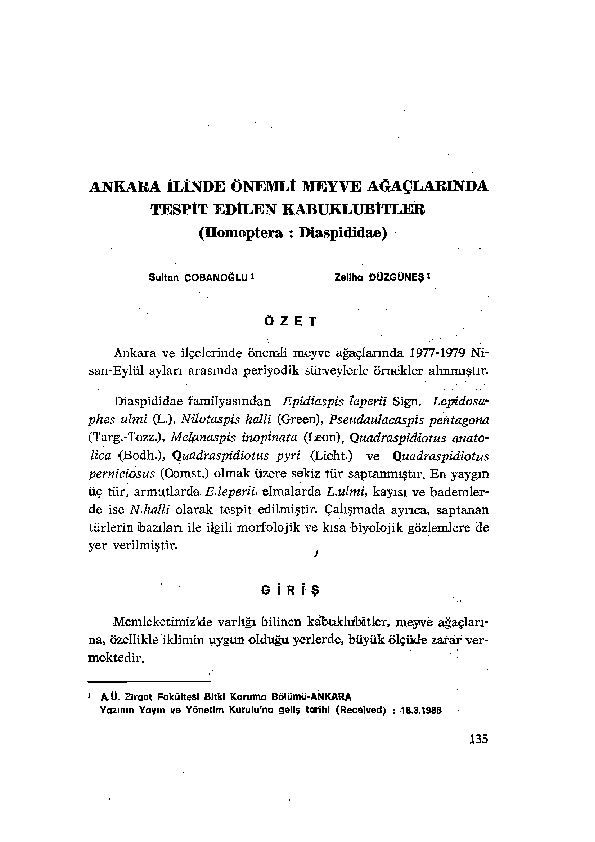 (PDF) Scale Insects (Homoptera - Diaspididae) of the Important Fruit ...