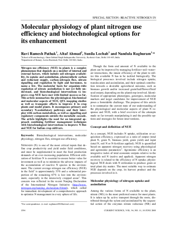 (PDF) Molecular Physiology of Plant Nitrogen Use Efficiency and ...
