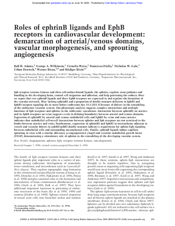 (PDF) Roles of ephrinB ligands and EphB receptors in cardiovascular ...