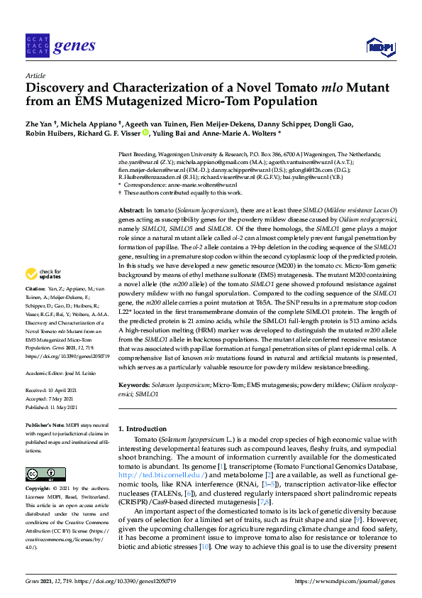 (PDF) Discovery and Characterization of a Novel Tomato mlo Mutant from ...