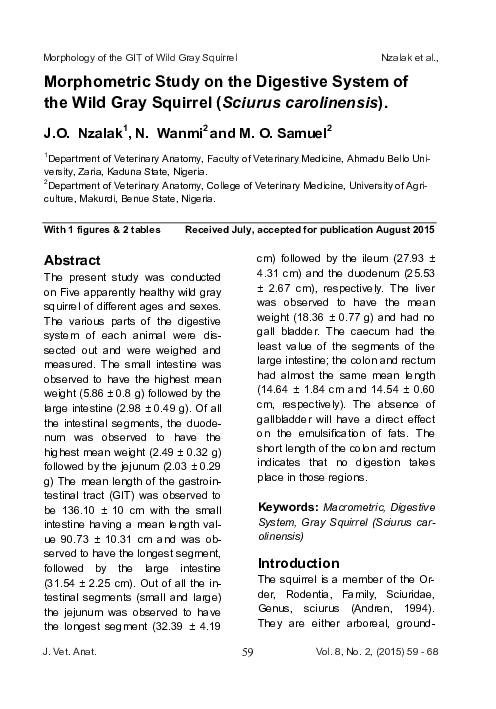 (PDF) Morphometric Study on the Digestive System of the Wild Gray ...
