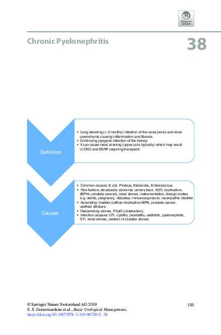 (PDF) Chronic Pyelonephritis
