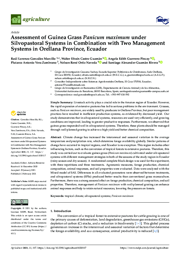 (PDF) Assessment of Guinea Grass Panicum maximum under Silvopastoral ...