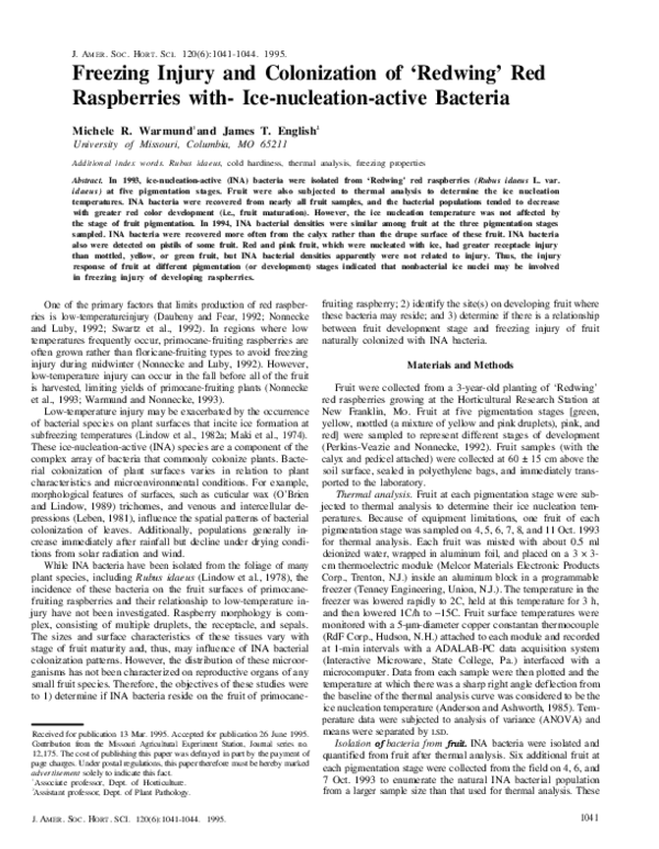 (PDF) Freezing Injury and Colonization of `Redwing' Red Raspberries ...