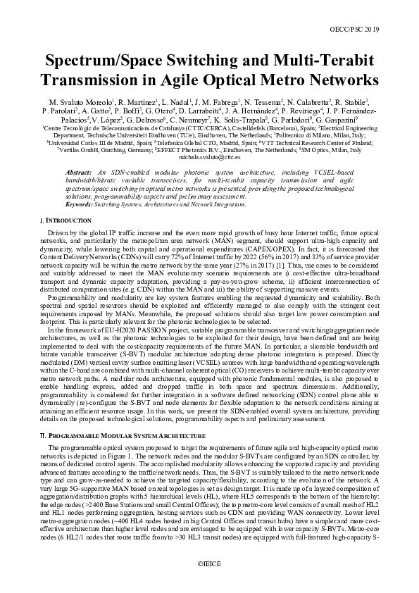 (PDF) Spectrum/Space Switching and Multi-Terabit Transmission in Agile ...