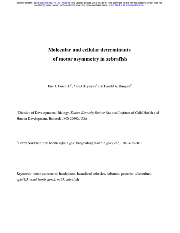 (PDF) Molecular and cellular determinants of motor asymmetry in zebrafish