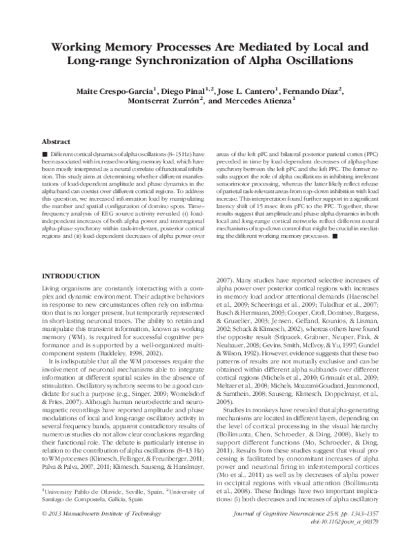 (PDF) Working Memory Processes Are Mediated by Local and Long-range ...