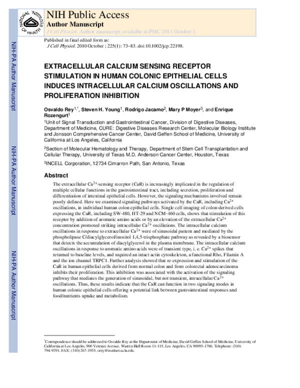 (PDF) Extracellular calcium sensing receptor stimulation in human ...