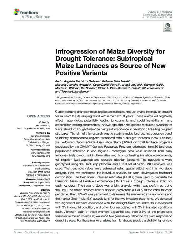 (PDF) Introgression of Maize Diversity for Drought Tolerance ...