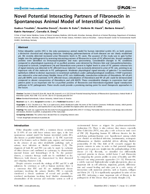 (PDF) Computing support for testing equal values of the figurative ...