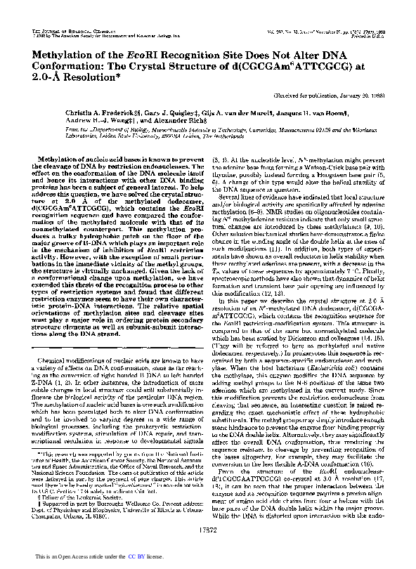 (PDF) Methylation of the Ecori Recognition Site Does Not Alter Dna ...