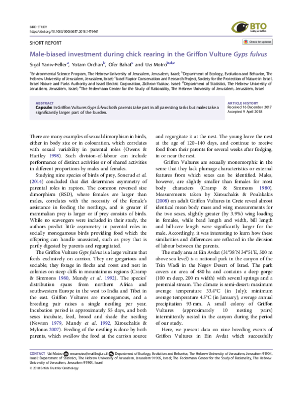 (PDF) Male-biased investment during chick rearing in the Griffon ...