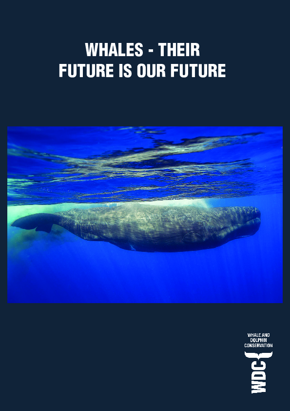 The Future of Cetaceans in a Changing World Whales, Coral Reefs, and the Future of Our Oceans - Coral Reef