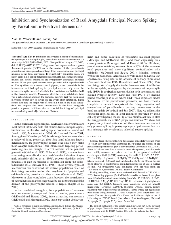 (PDF) Inhibition and Synchronization of Basal Amygdala Principal Neuron ...