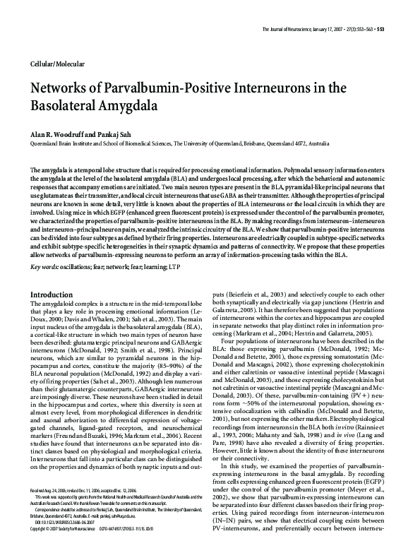 (PDF) Networks of Parvalbumin-Positive Interneurons in the Basolateral ...