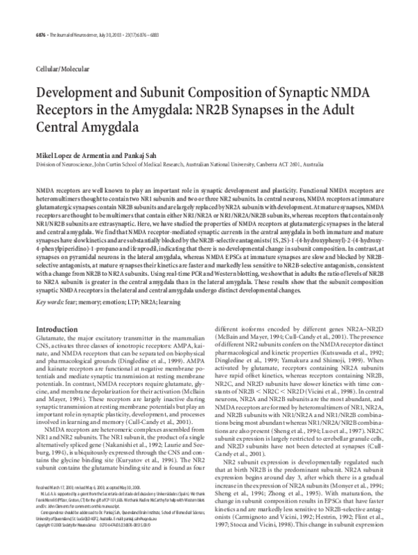 (PDF) Development and Subunit Composition of Synaptic NMDA Receptors in ...