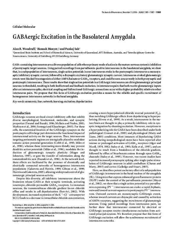 (PDF) GABAergic Excitation in the Basolateral Amygdala