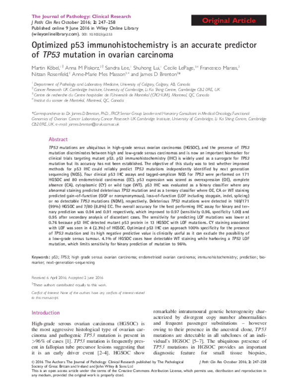 (PDF) Optimized p53 immunohistochemistry is an accurate predictor of ...