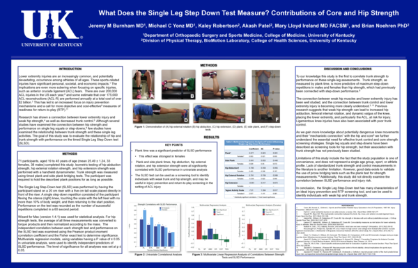 (PDF) What Does the Single Leg Step Down Test Measure? Contributions of ...