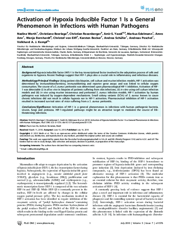 (PDF) Activation of Hypoxia Inducible Factor 1 Is a General Phenomenon ...