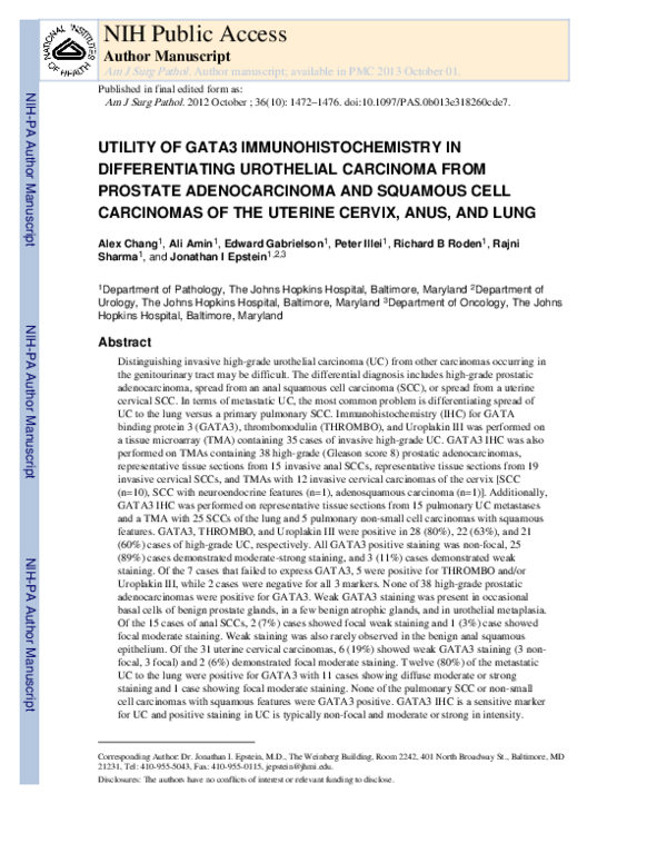 (PDF) Utility of GATA3 Immunohistochemistry in Differentiating ...