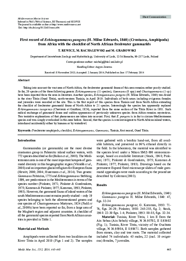 (PDF) First record of Echinogammarus pungens (H. Milne Edwards, 1840 ...