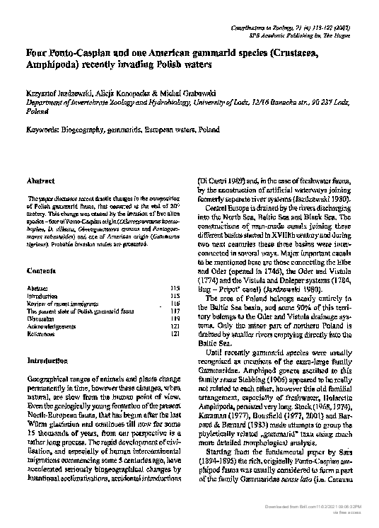 (PDF) Four Ponto-Caspian and one American gammarid species (Crustacea ...