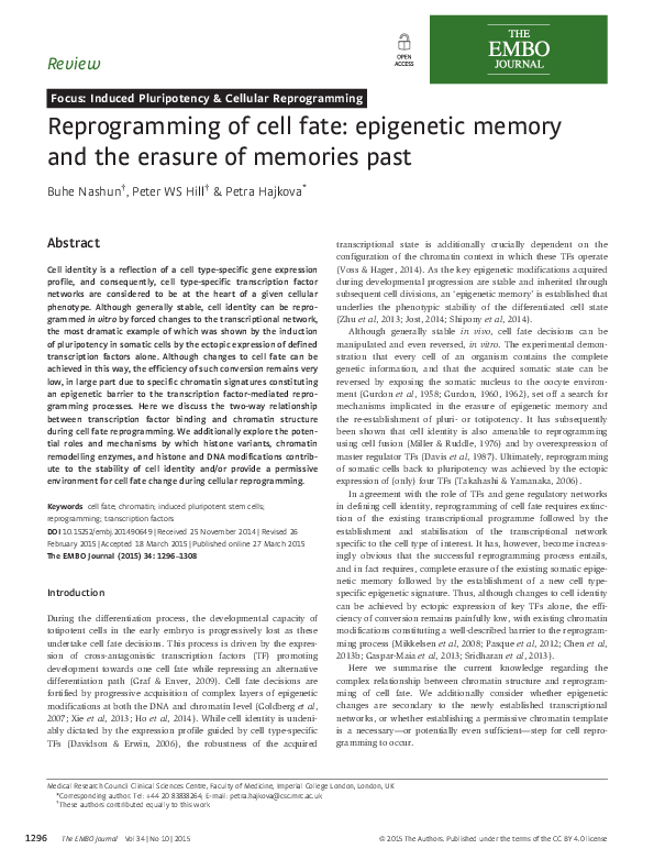 (PDF) Reprogramming of cell fate: epigenetic memory and the erasure of ...