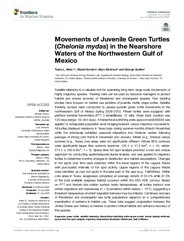(PDF) Movements of Juvenile Green Turtles (Chelonia mydas) in the ...