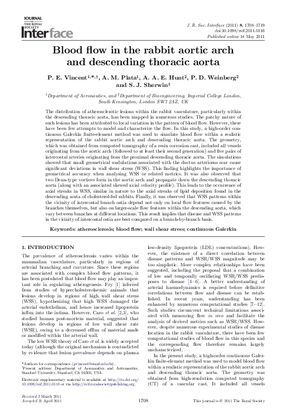 (PDF) Blood flow in the rabbit aortic arch and descending thoracic aorta