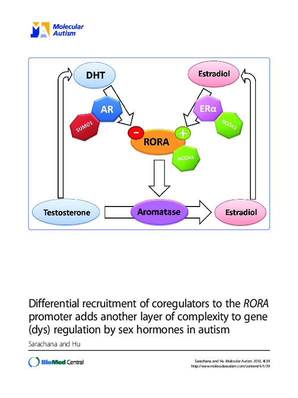 (PDF) Differential recruitment of coregulators to the RORA promoter ...