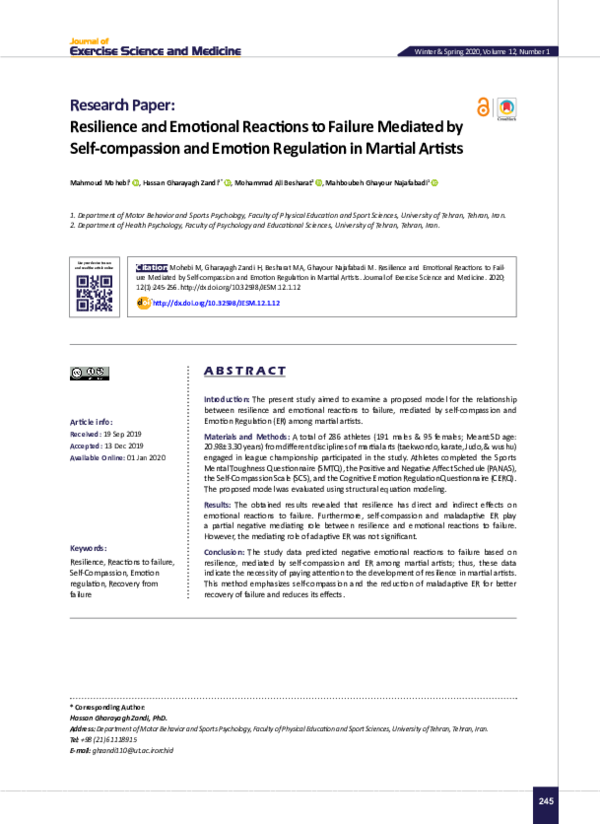 (PDF) Resilience and Emotional Reactions to Failure Mediated by Self ...