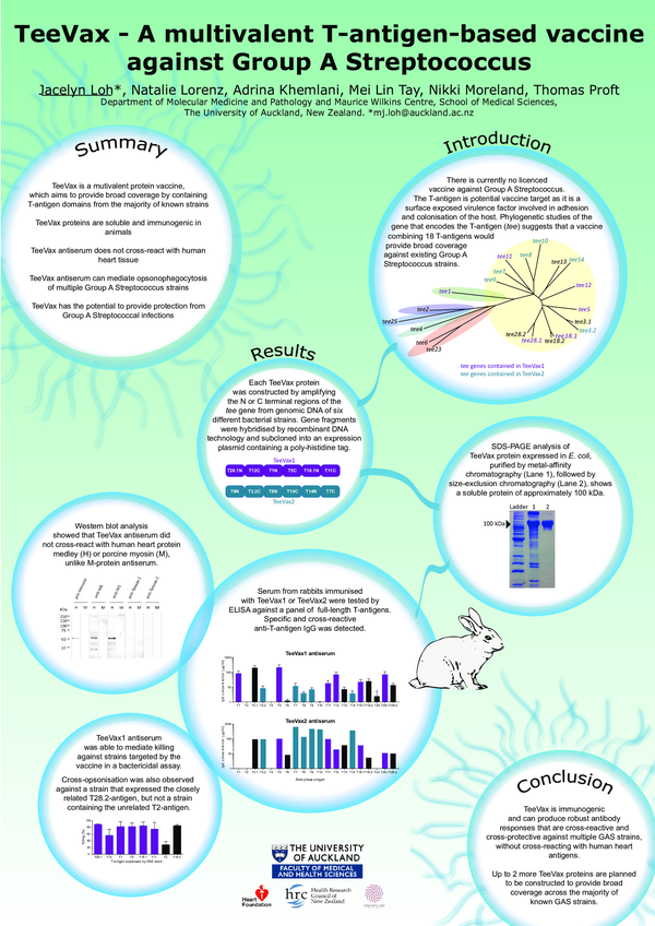 (PDF) TeeVax - A multivalent T-antigen-based vaccine against Group A ...