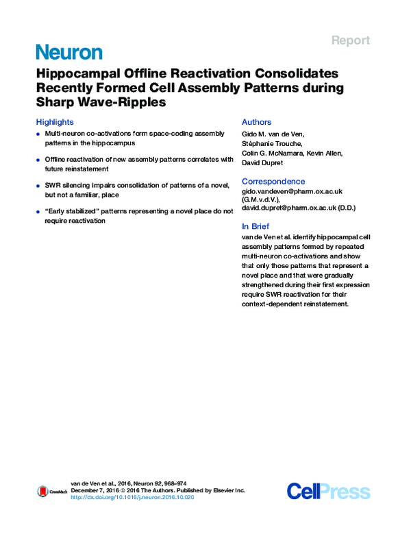 (PDF) Hippocampal Offline Reactivation Consolidates Recently Formed ...