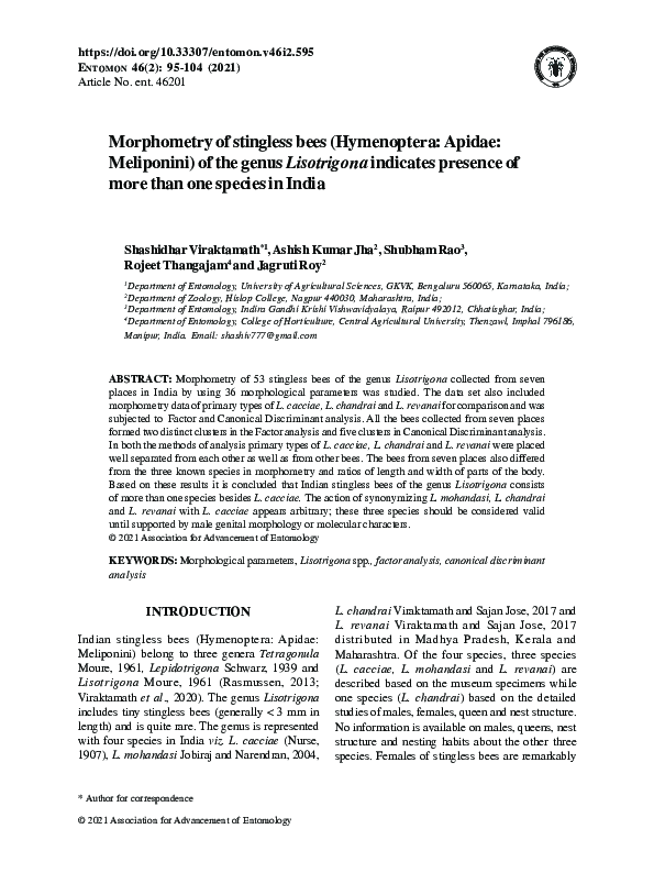 (PDF) Morphometry of stingless bees (Hymenoptera: Apidae: Meliponini ...