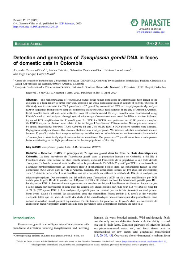 (PDF) Detection and genotypes of Toxoplasma gondii DNA in feces of ...