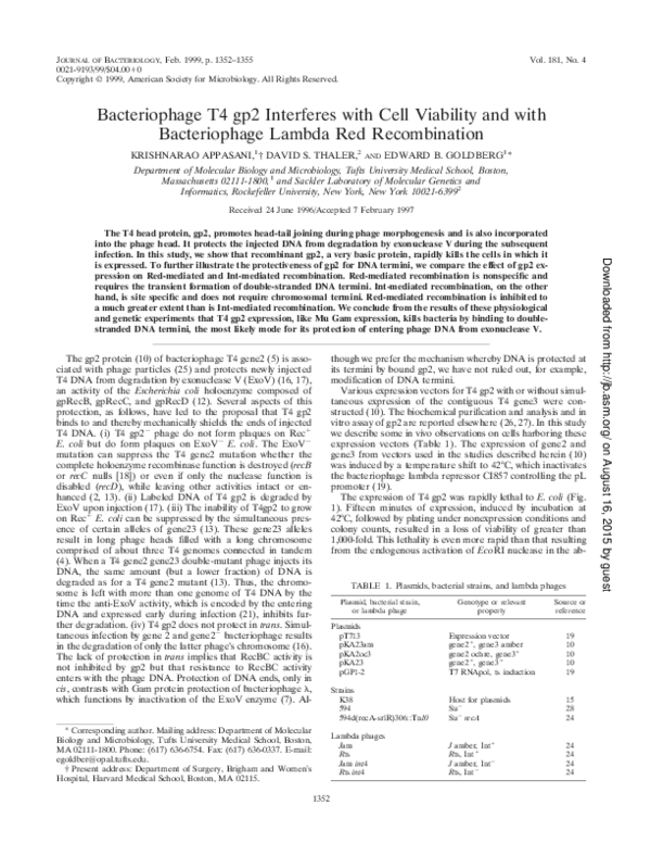 (PDF) Bacteriophage T4 gp2 Interferes with Cell Viability and with ...