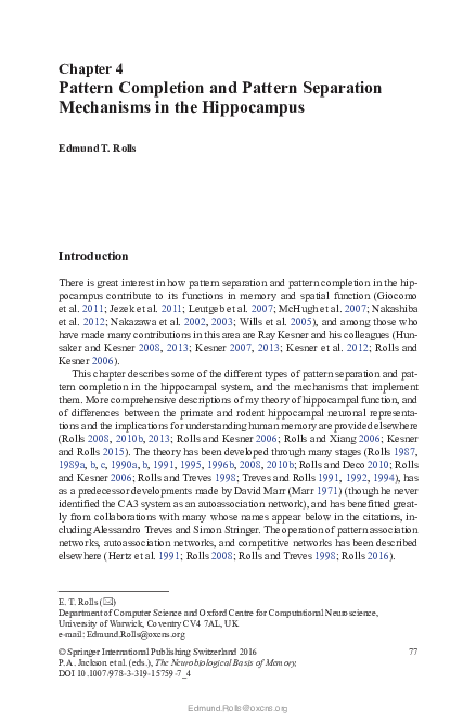 (PDF) Pattern Completion and Pattern Separation Mechanisms in the ...