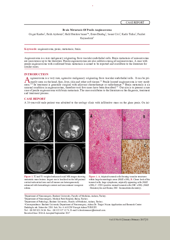 (PDF) Brain Metastasis Of Penile Angiosarcoma