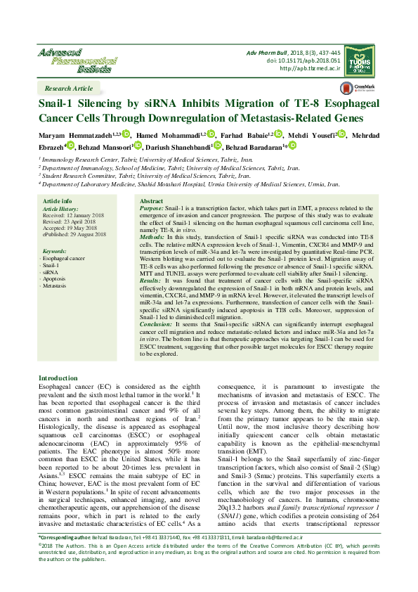 (PDF) Snail-1 Silencing by siRNA Inhibits Migration of TE-8 Esophageal ...