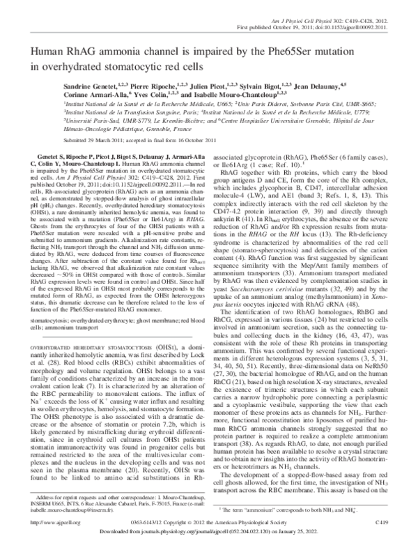 (PDF) Human RhAG ammonia channel is impaired by the Phe65Ser mutation ...